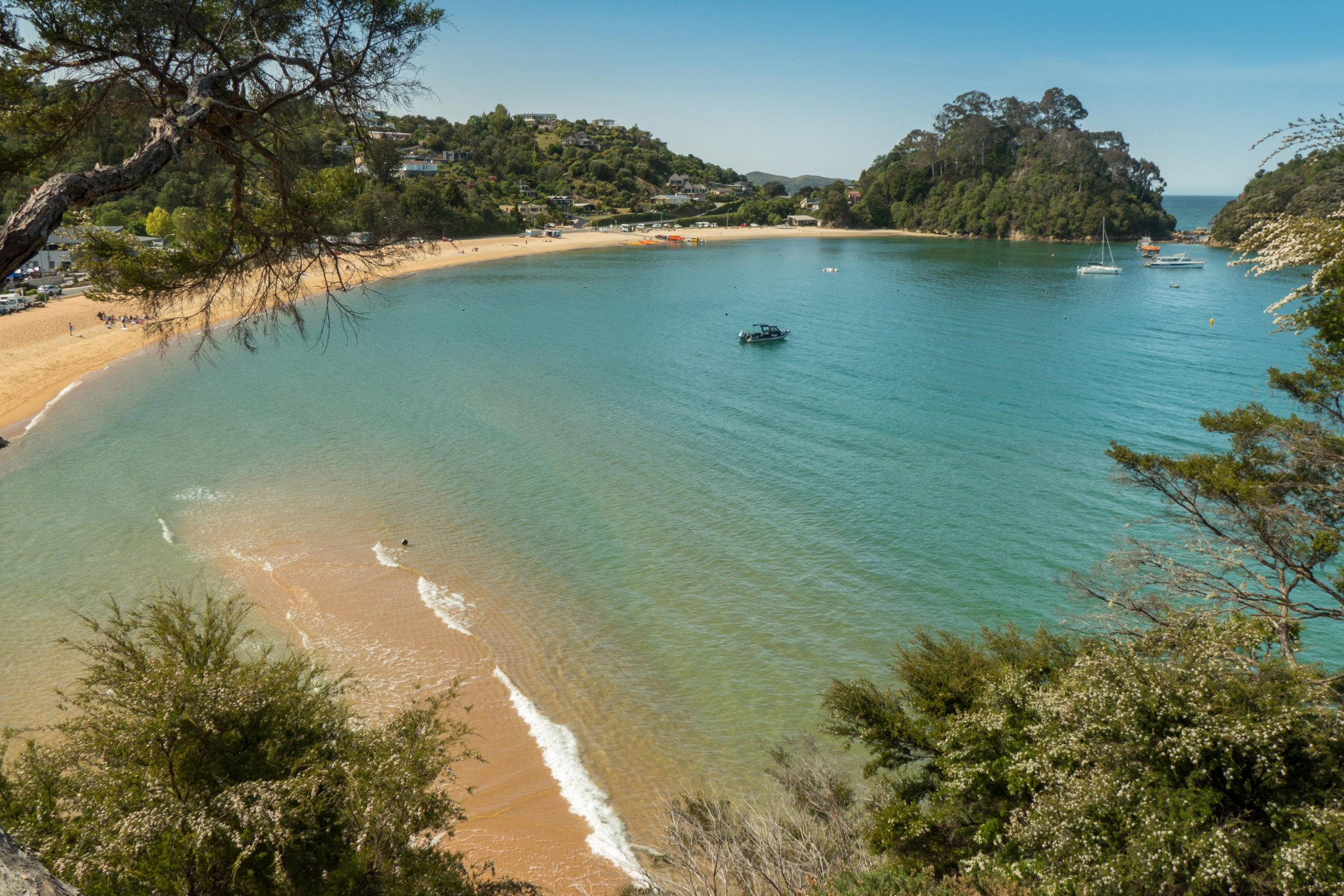 kaiteriteri, south island (2).webp